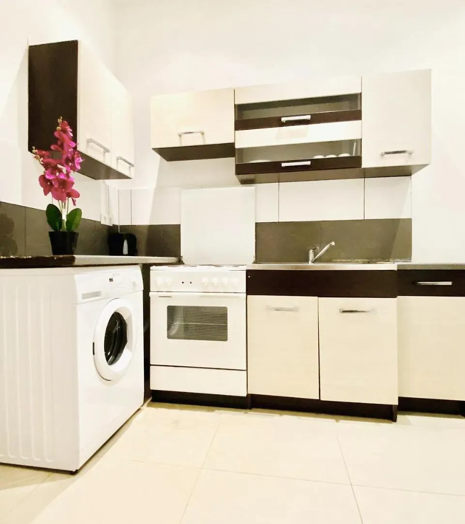Family Studio In Schoenbrunn Area Wien Østrig
