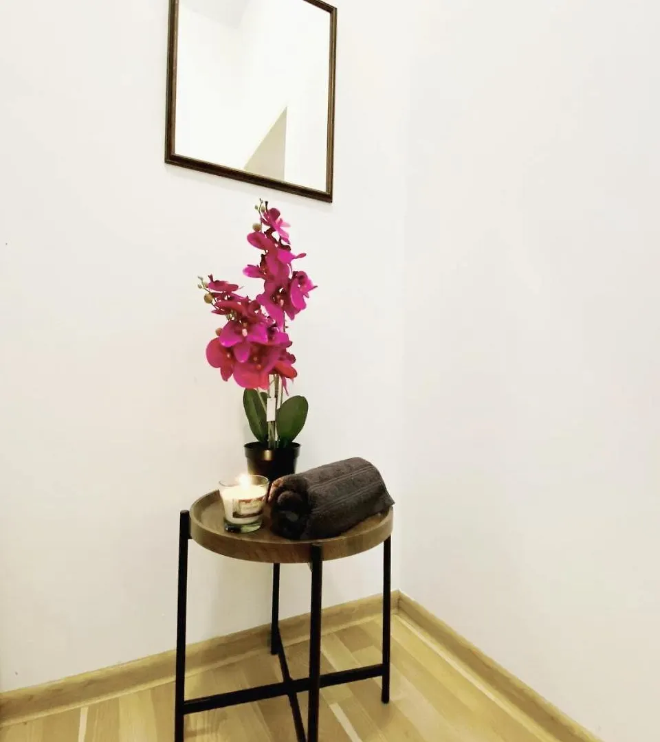 Family Studio In Schoenbrunn Area Vienna Apartment